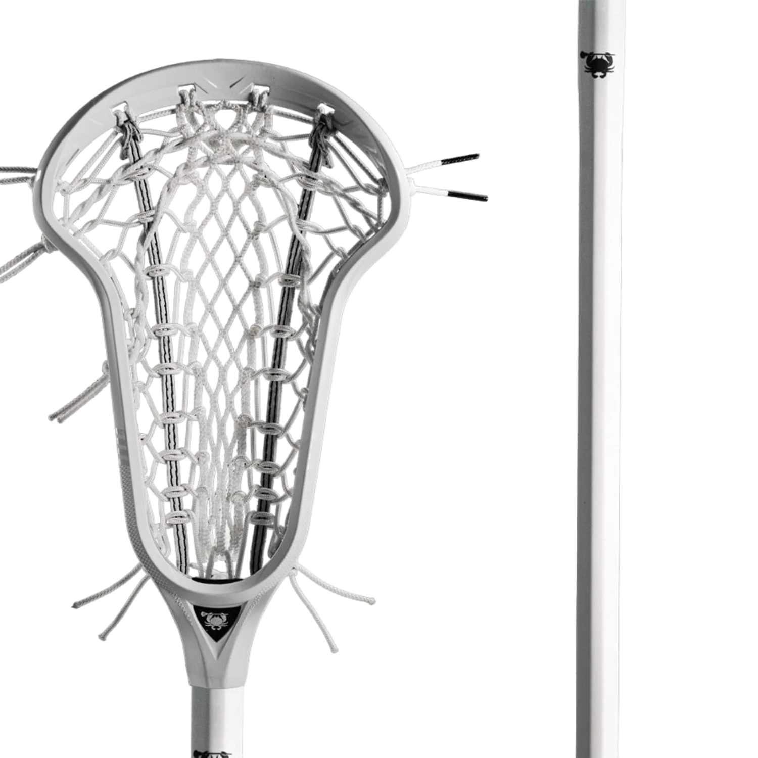 ECD Infinity Complete Stick