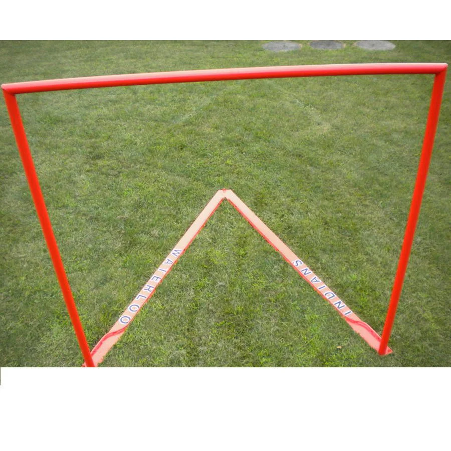 Professional Goal Pair w/o Net